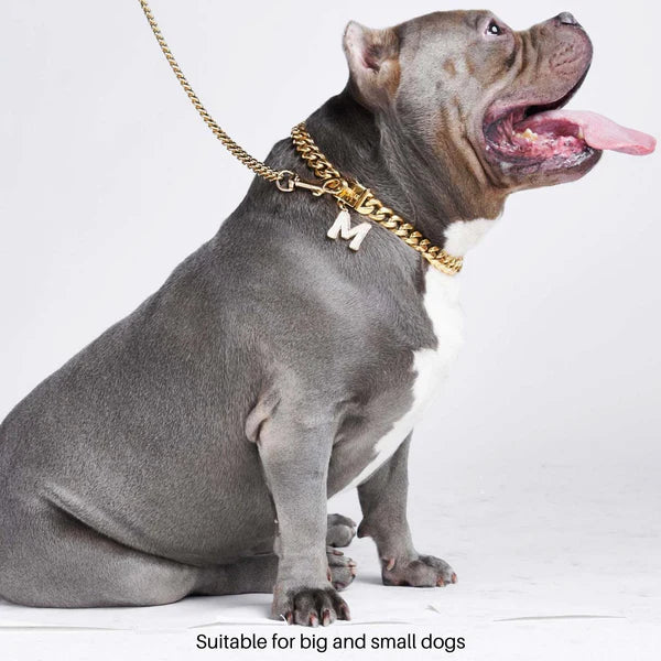 Cuban Link Chain Dog Collar - Gold