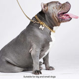 Cuban Link Chain Dog Collar - Gold