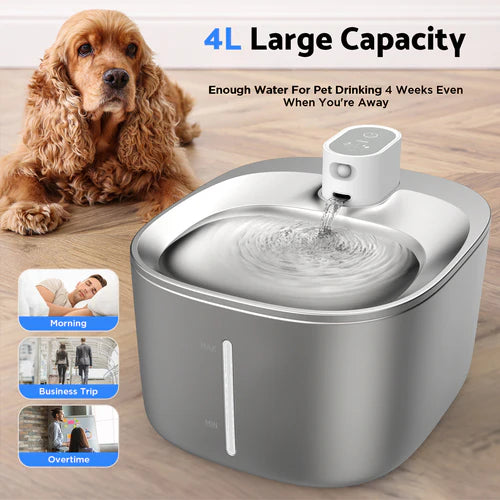 4L Pet Fountain Pet Water Dispenser