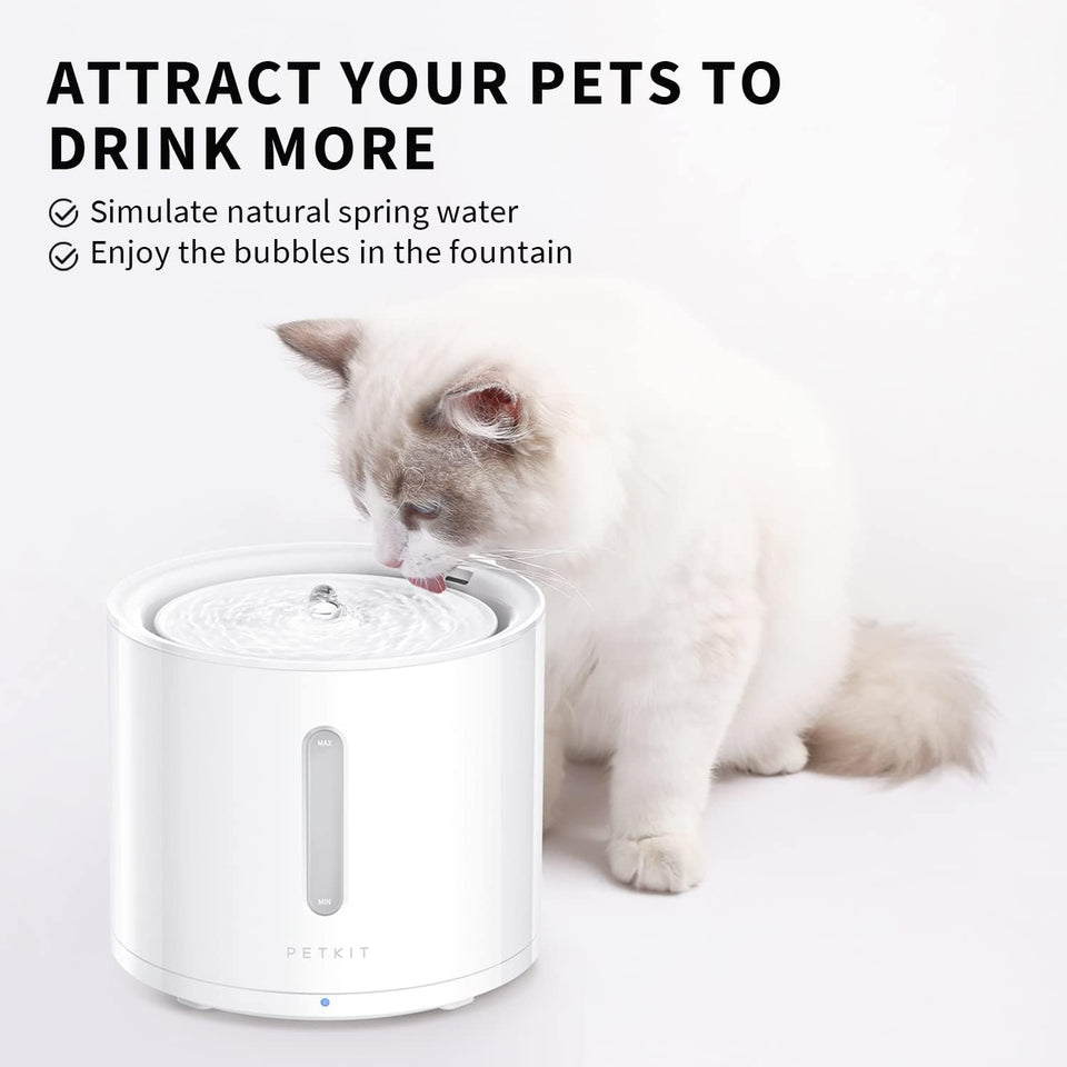 Solo 2 Cat Water Fountain with Wireless Pump, Ultra Quiet 70oz/2L Pet Water Fountain for Cats and Dogs Inside, 3 Working Modes