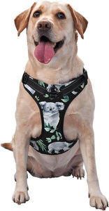 Adjustable Pet VES No Choke Front Clip Pet Harness with 2 Leash Clips + 1 Pet Leash for Large Dog