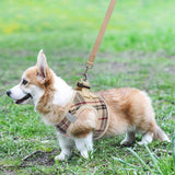 Dog Harness for Small Medium Dogs,Dog Harness and Leash Set