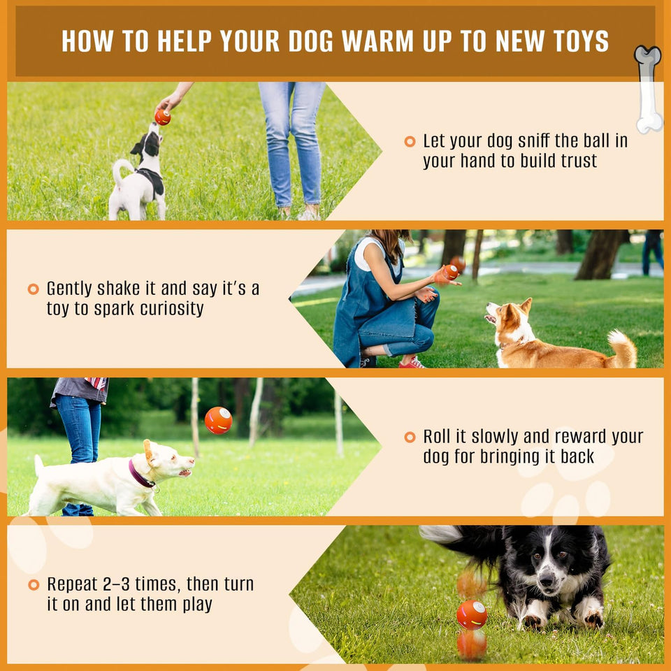 Interactive Dog Toys Dog Ball