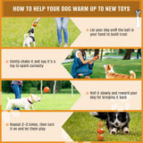 Interactive Dog Toys Dog Ball