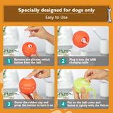 Interactive Dog Toys Dog Ball