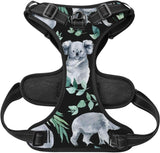 Adjustable Pet VES No Choke Front Clip Pet Harness with 2 Leash Clips + 1 Pet Leash for Large Dog