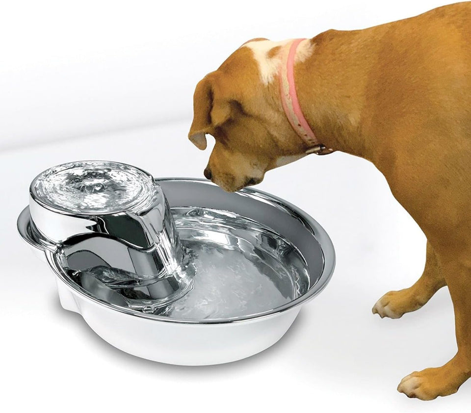 Pet Stainless Steel Fountain Raindrop Design