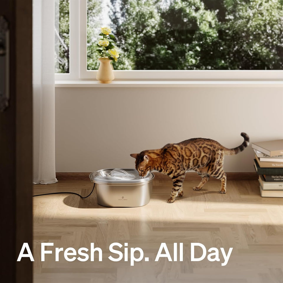 Food-Grade Dog Water Fountain, Automatic Water Dispenser with 4 Filters & 4 Sponges