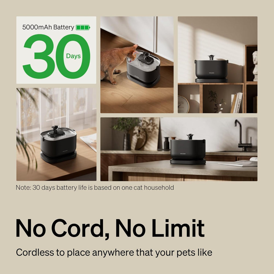 Water Fountain, Cordless Pet Water Fountain Battery Operated, 2.5L