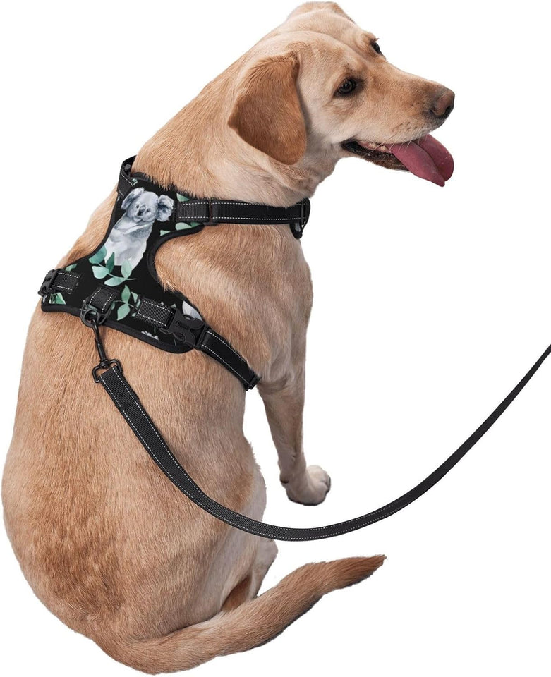 Adjustable Pet VES No Choke Front Clip Pet Harness with 2 Leash Clips + 1 Pet Leash for Large Dog