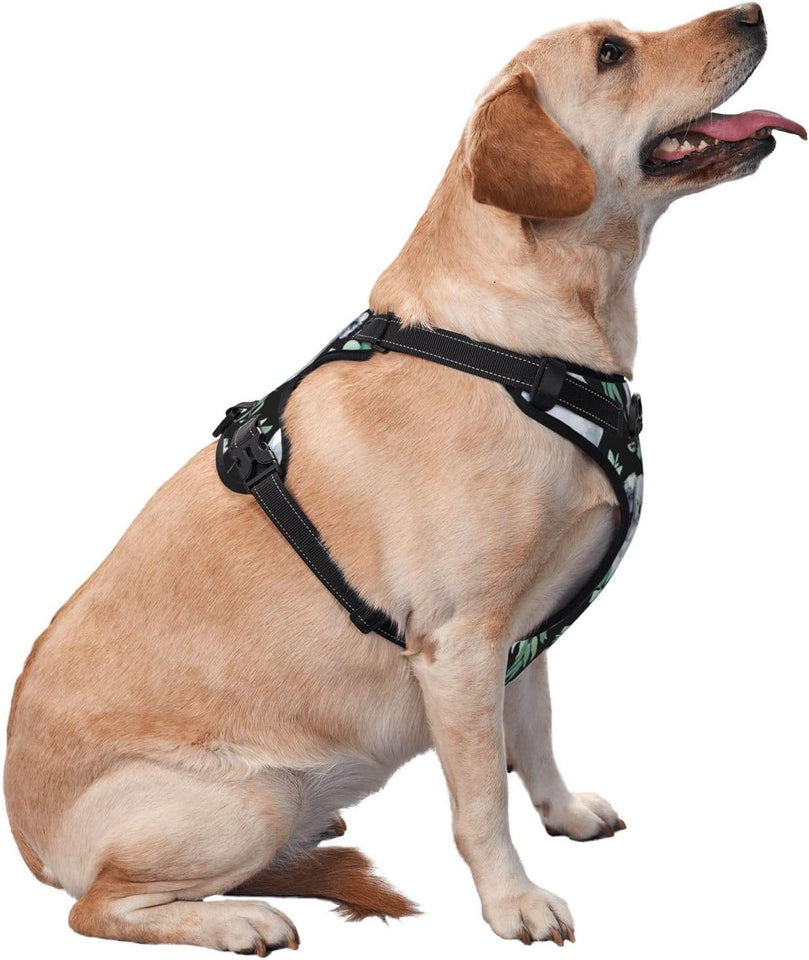 Adjustable Pet VES No Choke Front Clip Pet Harness with 2 Leash Clips + 1 Pet Leash for Large Dog