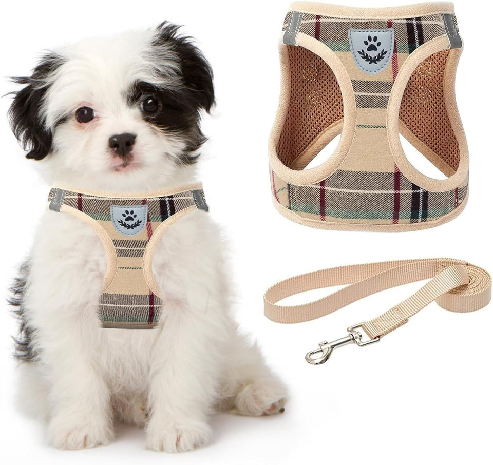Dog Harness for Small Medium Dogs,Dog Harness and Leash Set