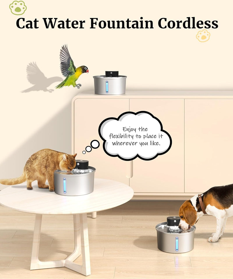 Water Fountain Stainless Steel, 2025 Upgraded New Sensor - 3 Work Modes