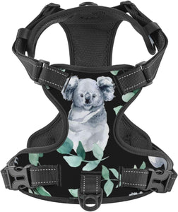 Adjustable Pet VES No Choke Front Clip Pet Harness with 2 Leash Clips + 1 Pet Leash for Large Dog