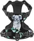 Adjustable Pet VES No Choke Front Clip Pet Harness with 2 Leash Clips + 1 Pet Leash for Large Dog