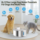 Stainless Steel Large Dog Water Fountain