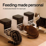 Bundle of RFID Smart App Cat Water Fountain 2.4G Wi-Fi, 101oz/3L Fountain with Collar Tag+Upgraded RFID Automatic Cat Feeder, 5G Wi-Fi Pet