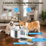 Stainless Steel Large Dog Water Fountain