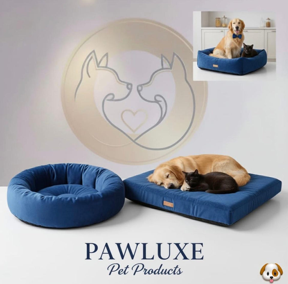 PawLuxe CloudComfort™ Orthopedic 2 Pet Lounger