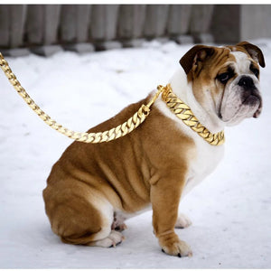 Kilo Cuban Link Leash Fresh Pawz