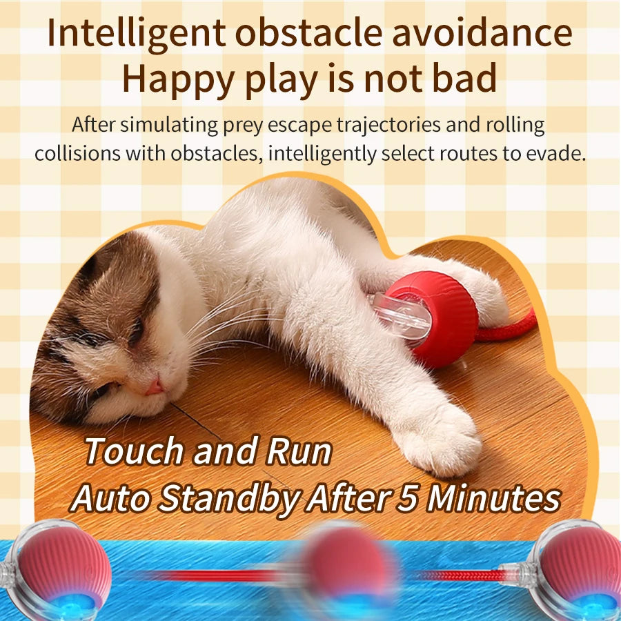 Cat and Dog Interactive Rolling Ball Toy Rechargeable Pet Electric Toy Teasing Cat Ball Teasing Dog Ball Automatic Rolling