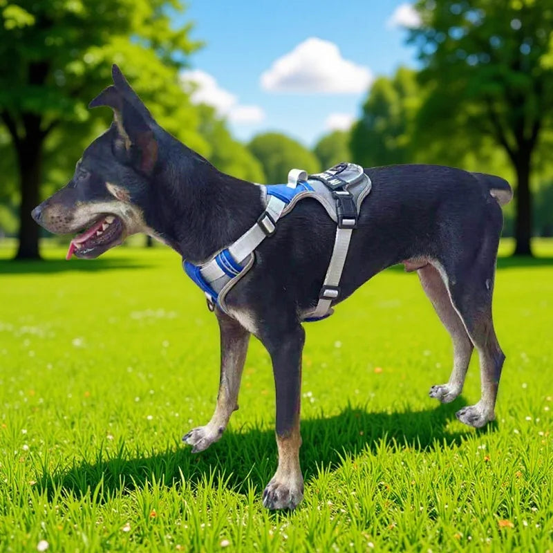 Nylon Dog Harness Vest Reflective Dog Harness Personalized Breathable Adjustable Pet Harness Leash For Small Medium Large Dogs