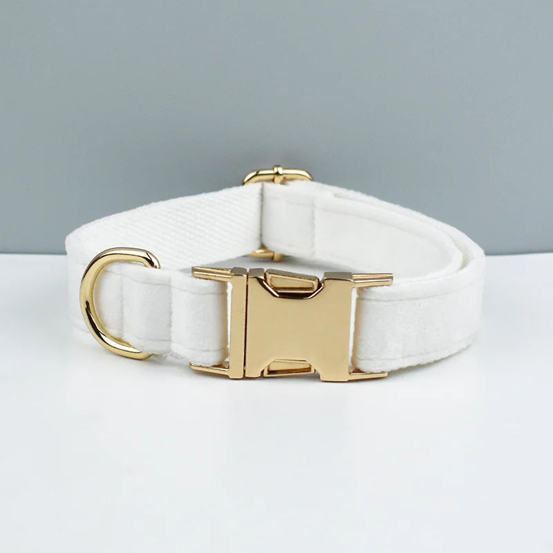 Velvet Collar Free Engrave Dog Collar Leash For Medium Big Pet Necklace Dog Accessories Dog Collars