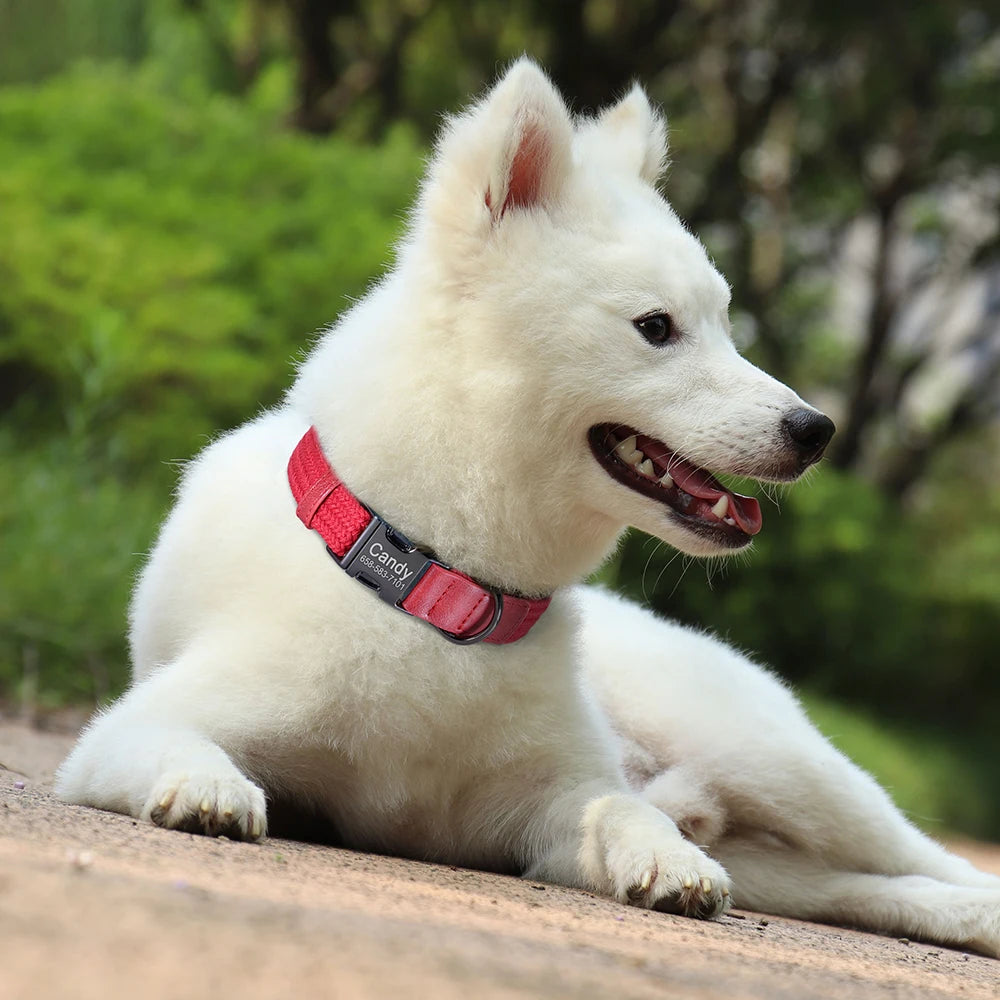 Personalized Dog Collar Leash Set Nylon Dog Collars With Walking Lead Rope Adjustable Pet Necklace for Small Large Dogs Durable