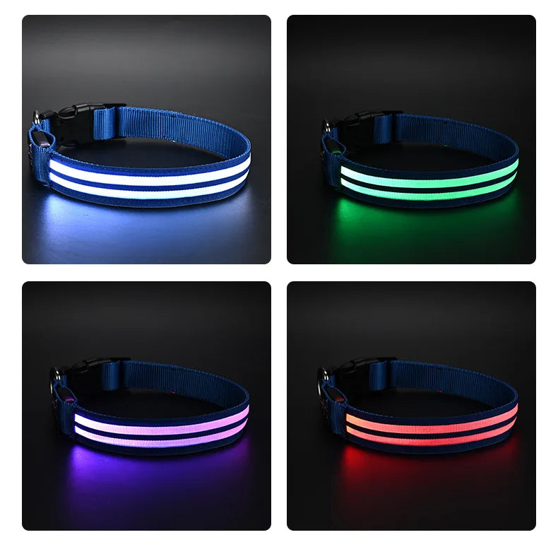 Light Up Dog Collar for Night Walk Color LED Glowing Pet Safety Collar Rechargeable Dog Necklace with Dog Harness Dog Leash Ring