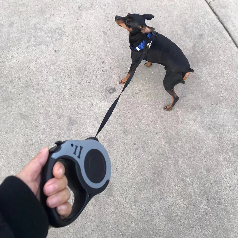 Automatic Dog Leash 3M 5M Retractable Extendable Rope for Small Dogs Accessories Outdoor Walking Hiking Puppy Cat Traction Belt