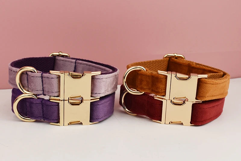 Velvet Collar Free Engrave Dog Collar Leash For Medium Big Pet Necklace Dog Accessories Dog Collars