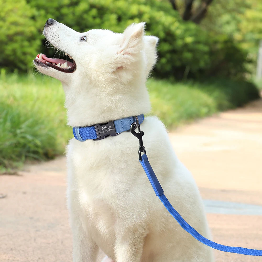 Personalized Dog Collar Leash Set Nylon Dog Collars With Walking Lead Rope Adjustable Pet Necklace for Small Large Dogs Durable