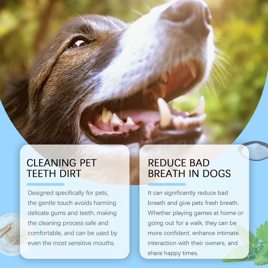 Pet Teeth Cleaning Toothbrush Pens Oral Solution Tartar Control Removing Bad Breath Small Cat And Dog Dental Care Toothbrush Pen