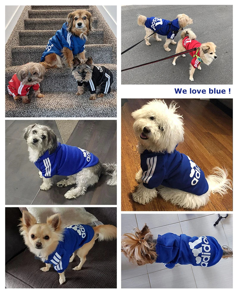 Dogs Cats Soft Hoodie Sweatshirt with Letters Autumn Winter Pet Warm Coat for Medium Large Dogs Comfortable Dogs Clothes Fashion