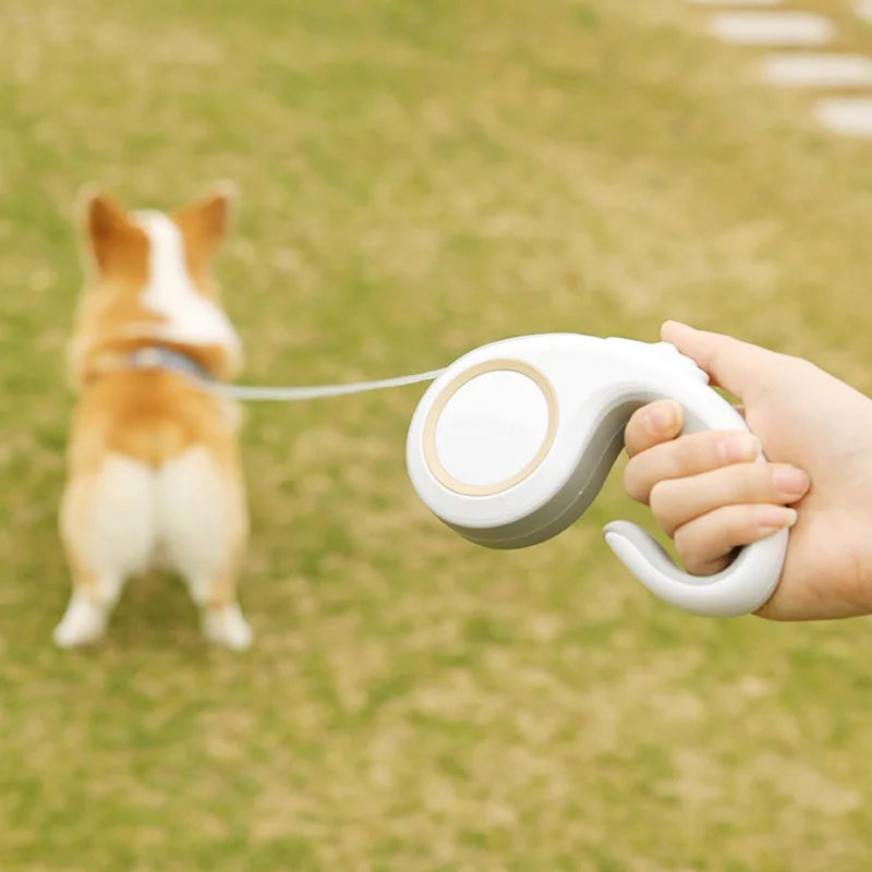 3M/5M Automatic Retractable Dog Leash Extendable Rope For Outdoor Travel Walking Hiking Small Dogs Traction Rope Cat Lead