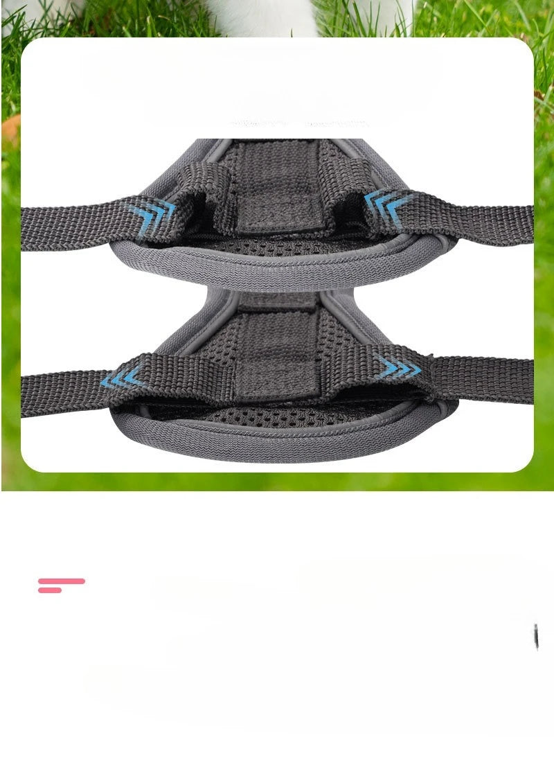New No Pull Dog Harness and Leash Set Adjustable Pet Harness Vest for Small Dogs Cats Reflective Dog Chest Strap Lead Walking