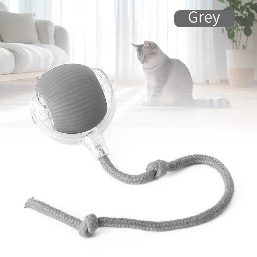 Cat and Dog Interactive Rolling Ball Toy Rechargeable Pet Electric Toy Teasing Cat Ball Teasing Dog Ball Automatic Rolling