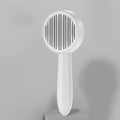 Cats Brush for Shedding Long Short Hair Self Cleaning Pet Slicker Brush Cat Grooming Massage Brushes Dog Grooming Comb