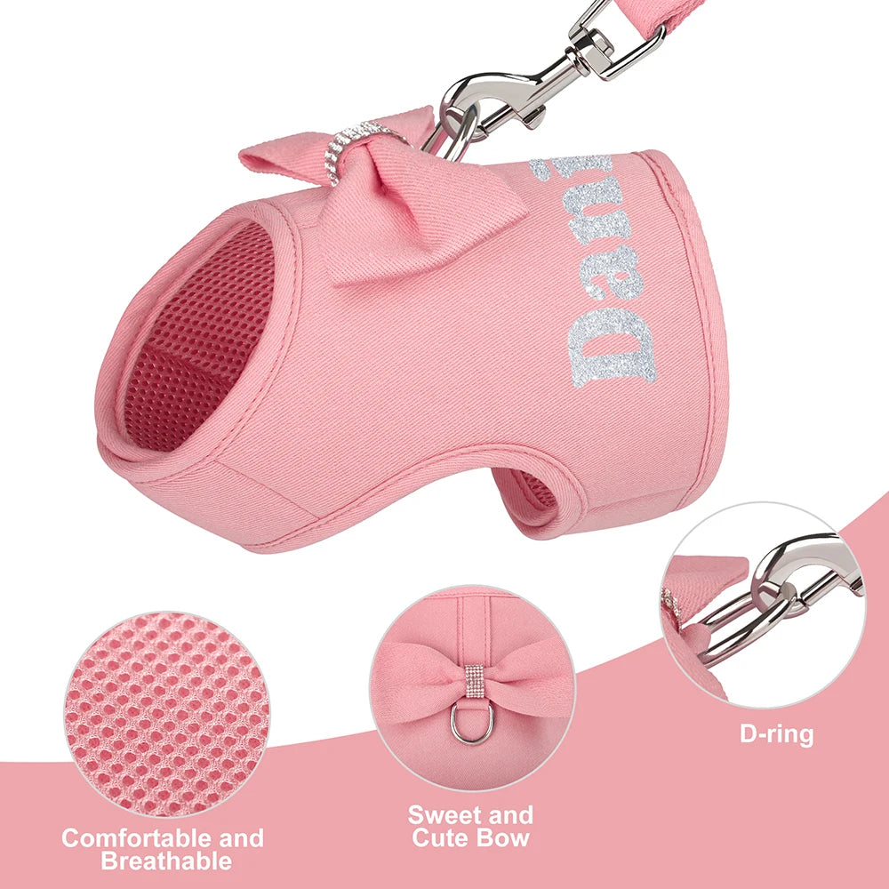 Personalized Dog Harness and Leash Set Free Print Name Pet Vest Harness Lead with Cute Bowtie for Small Medium Dogs Cats Pug