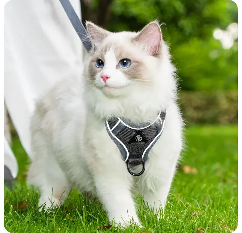 New No Pull Dog Harness and Leash Set Adjustable Pet Harness Vest for Small Dogs Cats Reflective Dog Chest Strap Lead Walking