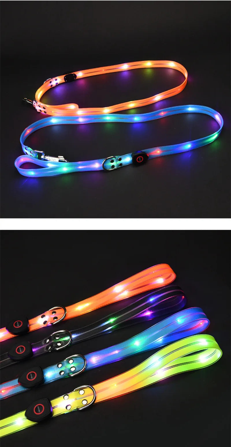 Pet light-up collar leash LED flashing collar USB charging dog walking pulling belt adjustable dog collar fashion pet supplies