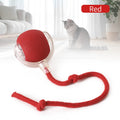 Cat and Dog Interactive Rolling Ball Toy Rechargeable Pet Electric Toy Teasing Cat Ball Teasing Dog Ball Automatic Rolling