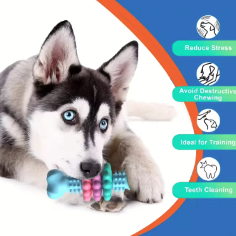 Dog Chew Toy Resistant Bite Sturdy Toothbrush Bone Interactive Puppy Game Toy For Small Medium Large Dogs Pet Accessories