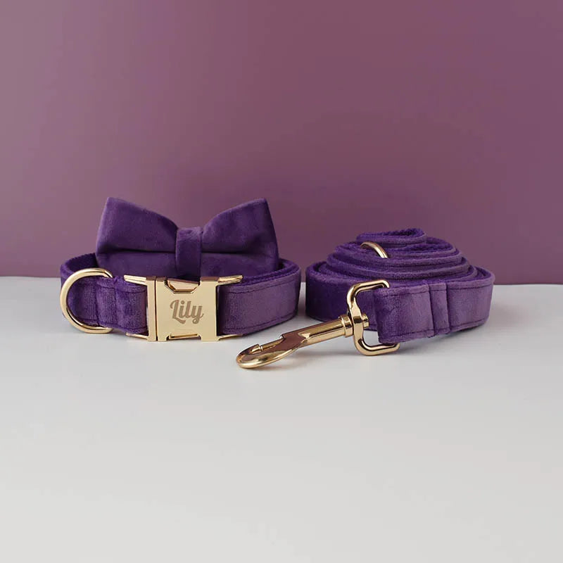 Velvet Collar Free Engrave Dog Collar Leash For Medium Big Pet Necklace Dog Accessories Dog Collars