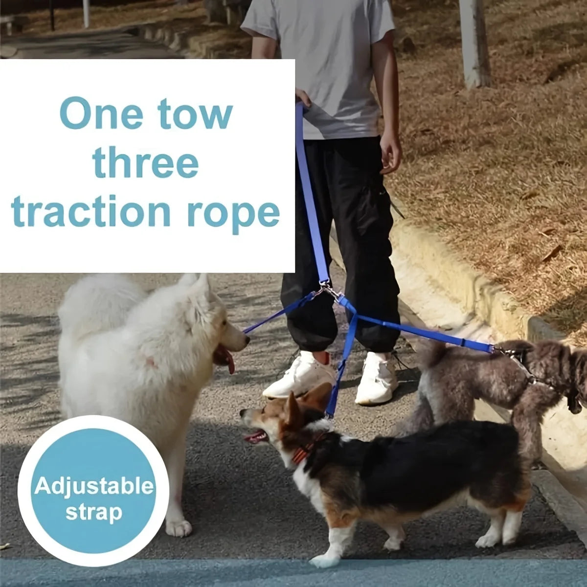 Durable 3-in-1 Nylon Dog Leash with Padded Handle for Outdoor Walking, Car Travel, Hiking and Camping - Three-Way Pet Leash