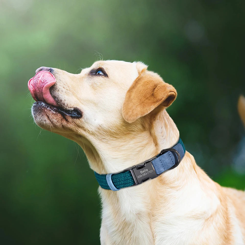 Personalized Dog Collar Leash Set Nylon Dog Collars With Walking Lead Rope Adjustable Pet Necklace for Small Large Dogs Durable
