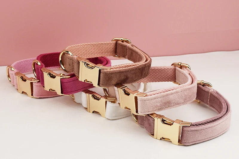 Velvet Collar Free Engrave Dog Collar Leash For Medium Big Pet Necklace Dog Accessories Dog Collars