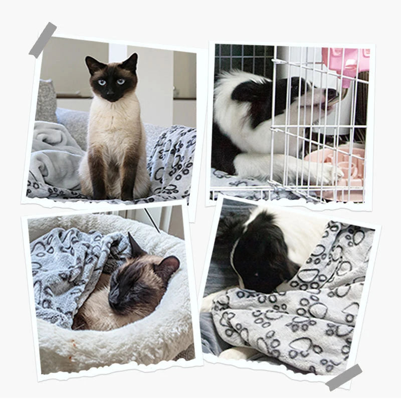 Soft Fluffy Cat Dog Blanket Pet Calming Blanket Warm Comfort Washable Small Quilt Cartoon Pattern Puppy kitty Sleeping Mat