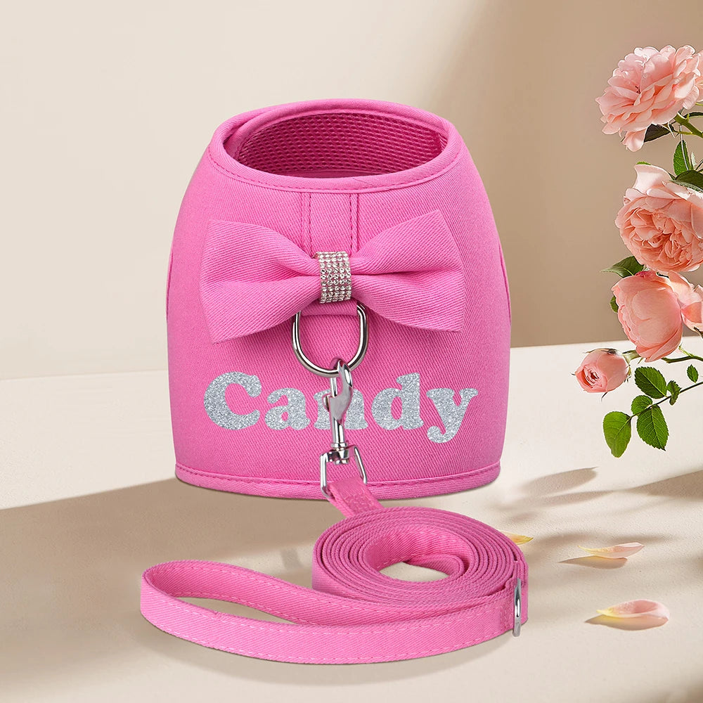 Personalized Dog Harness and Leash Set Free Print Name Pet Vest Harness Lead with Cute Bowtie for Small Medium Dogs Cats Pug