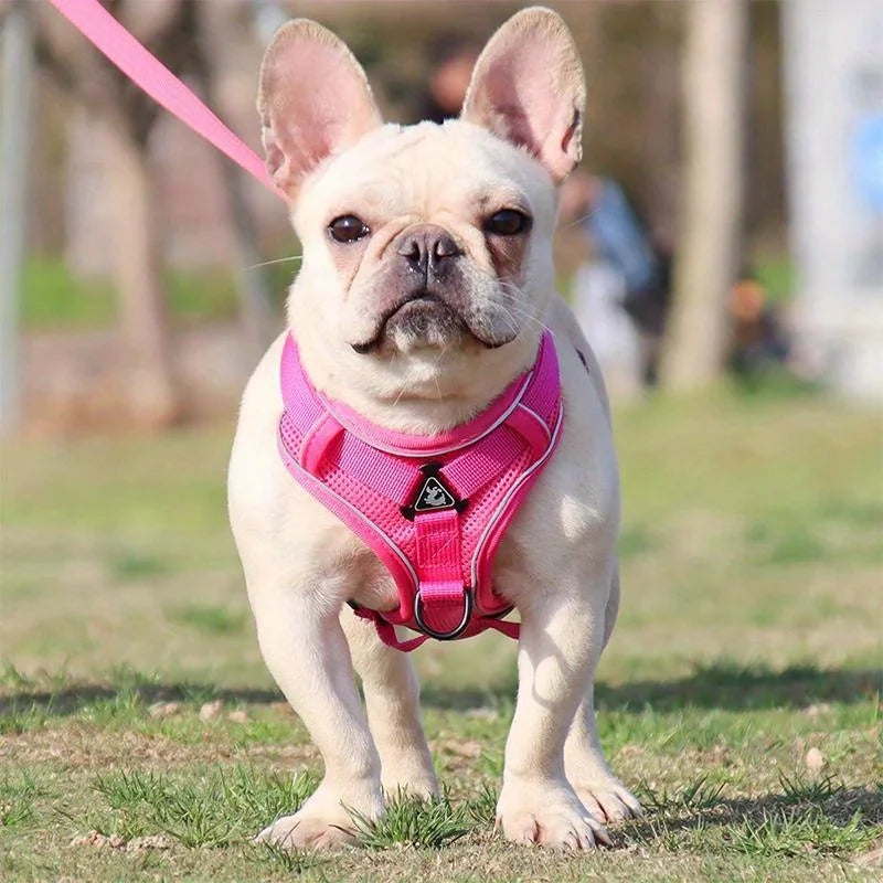 Cat Harness Vest Walking Lead Leash for Puppy Dogs Collar Polyester Adjustable Mesh Dog Harness for Small Medium Pet Accessories